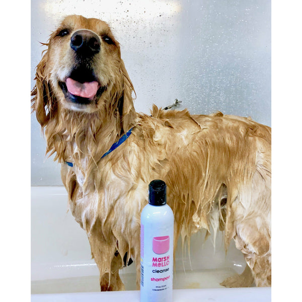 Shampoo Pack! 2 x Shampoo's + plus Big Paw Balm! - marsh-mello-dematt